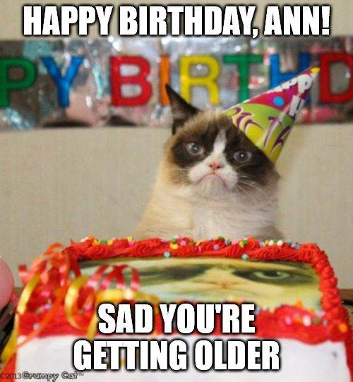 Chúc mừng sinh nhật, Ann - Meme mèo gắt gỏng.