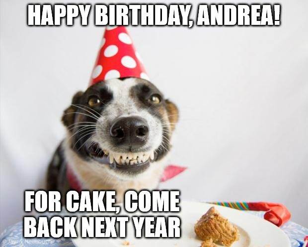 Chúc mừng sinh nhật, Andrea - Birthday Dog Meme.