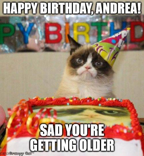 Chúc mừng sinh nhật, Andrea - Con mèo cáu kỉnh.