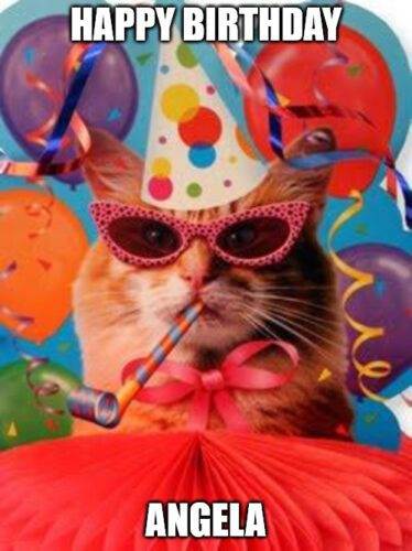 Happy Birthday, Angela - Cat Celebration Meme.