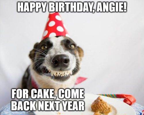 Chúc mừng sinh nhật, Angie - Sinh nhật con chó Meme.