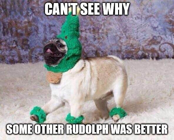 Cant hiểu lý do tại sao một số Rudolph khác tốt hơn - meme con chó Giáng sinh