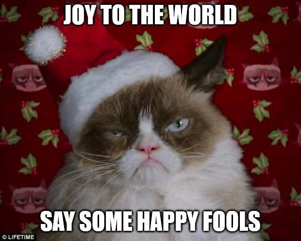 Joy to the world say some happy fools - Grumpy Christmas cat meme