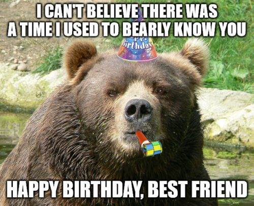 Chúc mừng sinh nhật Người bạn thân nhất Gấu meme