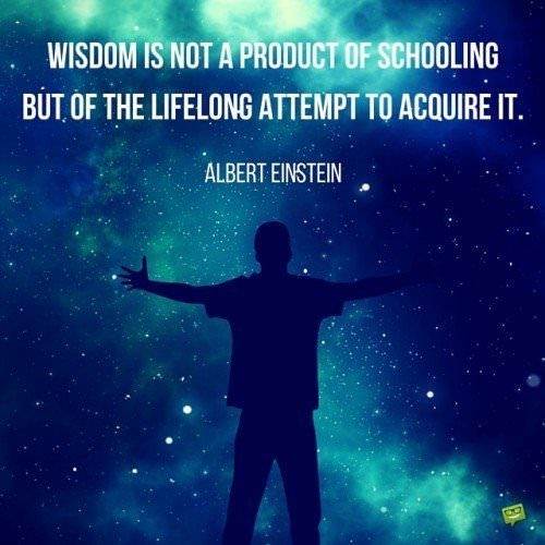 Trí tuệ không phải là sản phẩm của học hành mà là sự nỗ lực cả đời để có được nó.  Albert Einstein