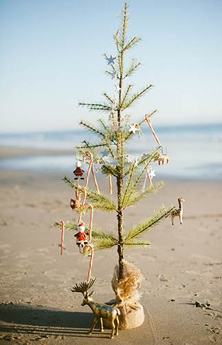 Bữa tiệc giáng sinh cho trẻ em trên bãi biển - Lấy cảm hứng từ điều này