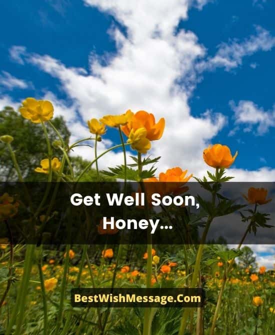 Quick Recovery Wishes for Lover
