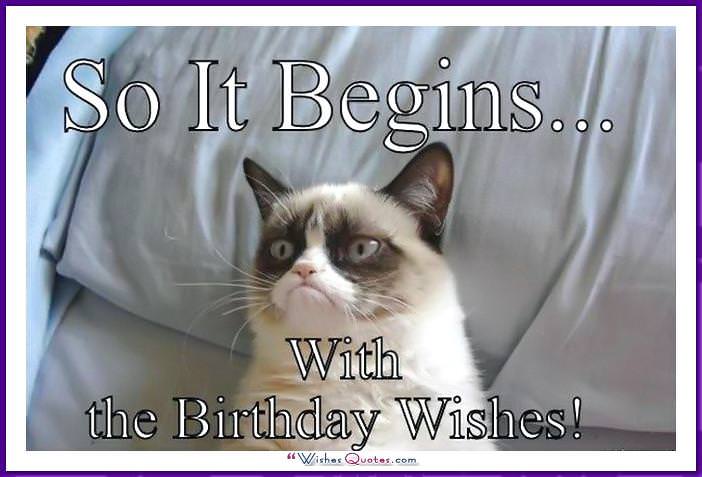 Birthday Meme with a Cat: So it Begins ... Với những lời chúc mừng sinh nhật