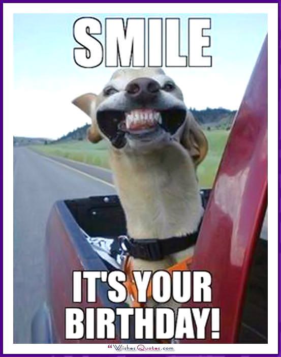 Funny Dog Birthday Meme: Smile! Đó là ngày sinh nhật của bạn!