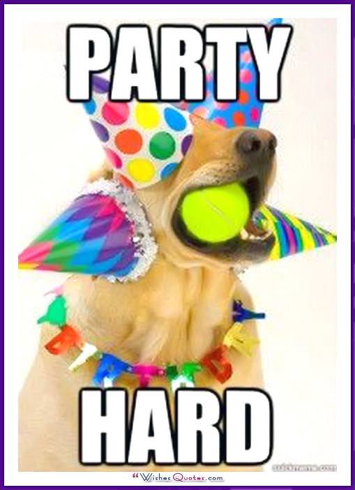 Funny Dog Birthday Meme: Party Hard