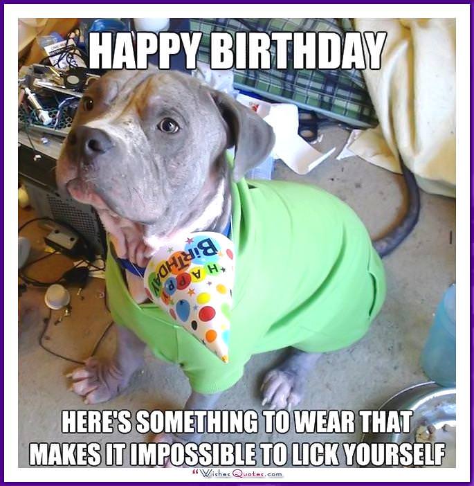 Funny Dog Birthday Meme: Đây là thứ để mặc khiến bạn không thể tự liếm được.