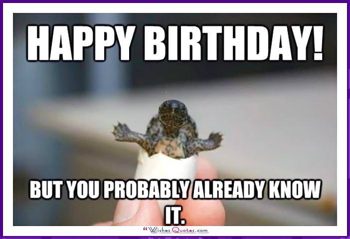 Funny Animal Birthday Meme: Chúc mừng sinh nhật! Nhưng bạn có thể đã biết nó.