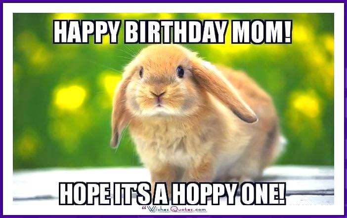 Vui sinh nhật Meme cho mẹ