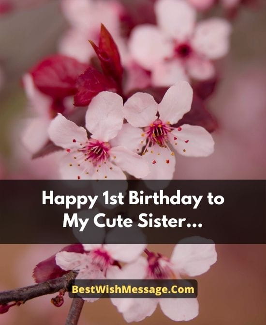 Lời chúc mừng sinh nhật 1 tuổi ấm áp dành cho em gái