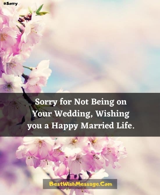 Tin nhắn xin lỗi vì không tham dự đám cưới tại điểm đến