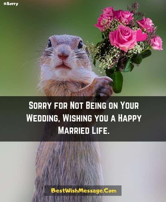 Tin nhắn đám cưới nếu bạn không tham dự