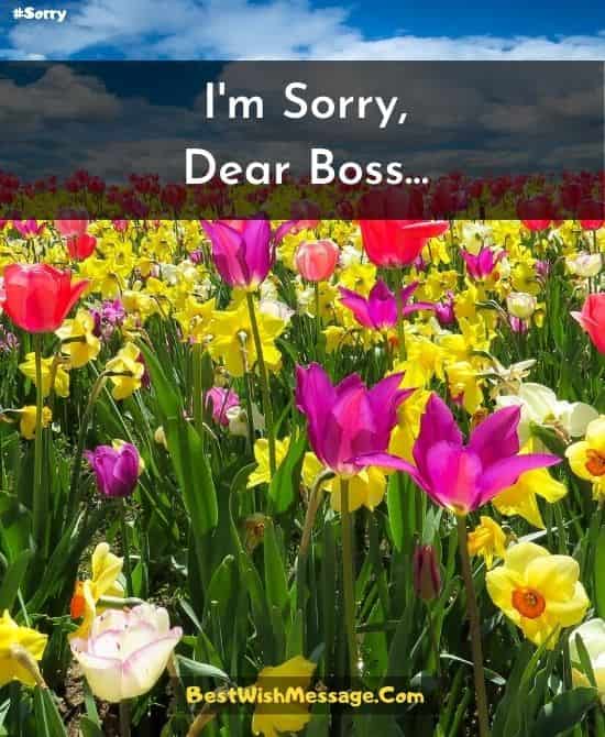Tin nhắn văn bản xin lỗi dành cho Sếp