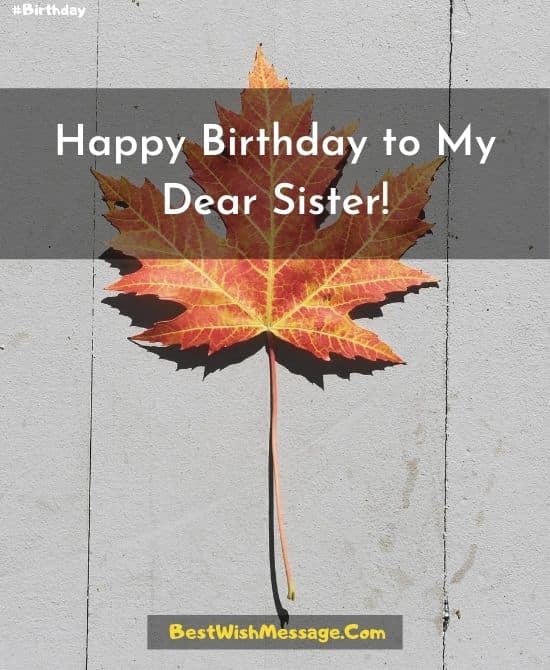 Những lời chúc sinh nhật đơn giản dành cho em gái