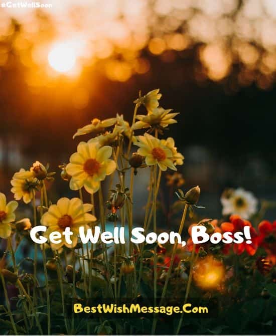 Professional Get Well Soon Messages for Boss