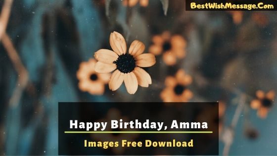 Read more about the article Chúc mừng sinh nhật Amma hình ảnh |  Tải xuống ảnh miễn phí