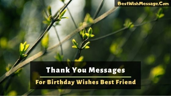 Read more about the article Hơn 32 tin nhắn cảm ơn cho lời chúc sinh nhật đến người bạn tốt nhất của bạn