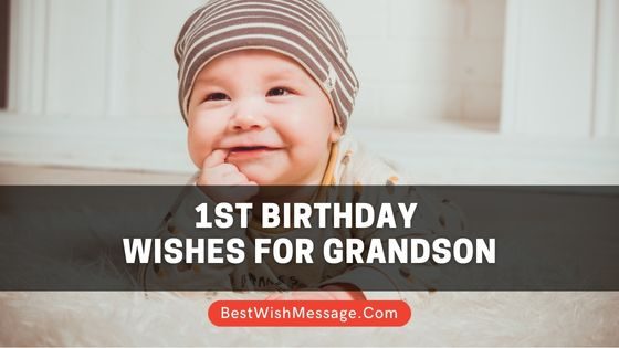 Read more about the article Hơn 60 lời chúc mừng sinh nhật lần thứ nhất cảm động nhất dành cho cháu trai