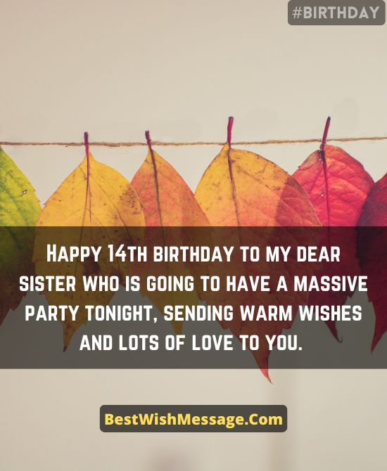 Lời chúc sinh nhật lần thứ 14 cho em gái