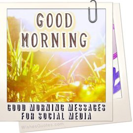 Thiệp chào buổi sáng và tin nhắn cho bạn bè trên mạng xã hội