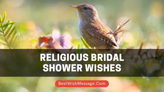 Read more about the article Hơn 35 lời chúc mừng lễ tắm cô dâu theo tôn giáo